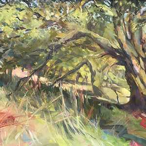 27.  Early summer Birch Mell Fell