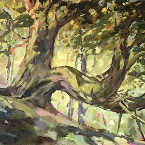 31.  Great Mell Fell dappled Sycamore