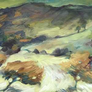 8.  Gowbarrow yellow