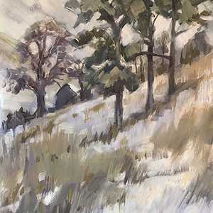 3 Scott’s Pines. Dowrhwaite Head