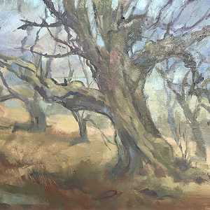 Ancient winter Birch Great Mell Fell