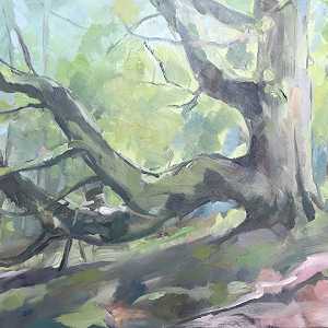 33.  Great Mell Fell Sycamore Green